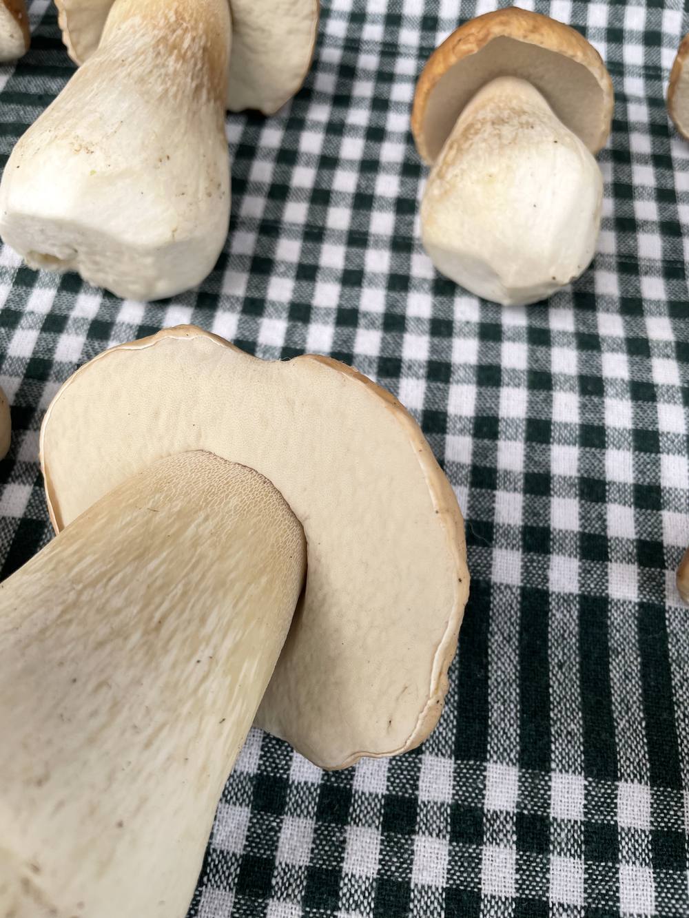 Aufgeschnittener Röhrling auf einem Küchentuch