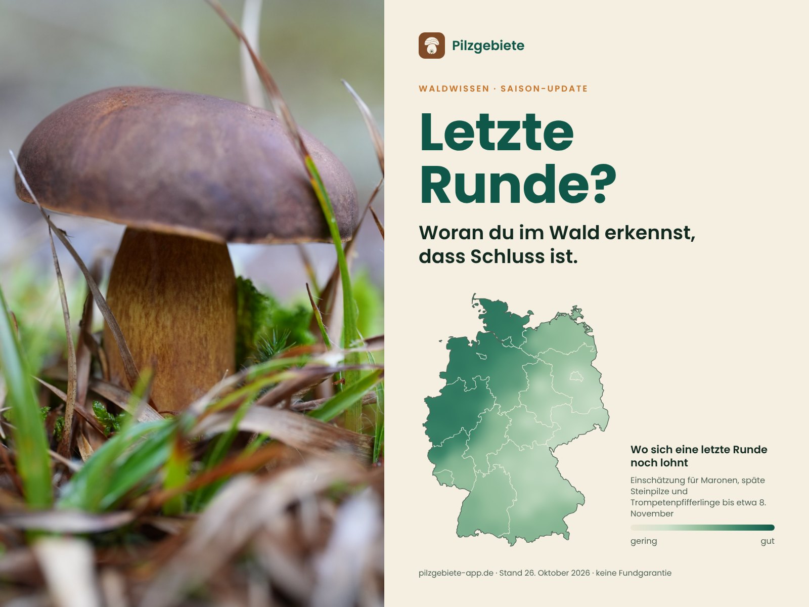 Titelbild: Ein Maronenröhrling zwischen Gras und Moos neben einer Deutschlandkarte mit der Einschätzung, wo sich eine letzte Pilzrunde bis etwa 8. November noch lohnt: am ehesten im Nordwesten und Westen